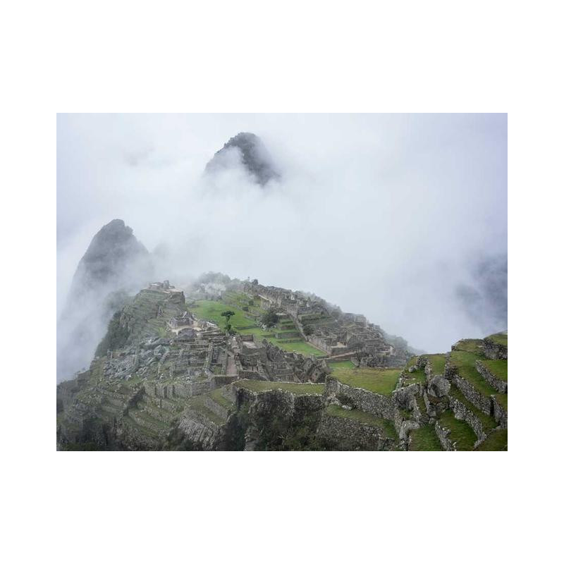 Enormous Bronze Shoes fr-FR